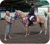 Showjumping Champion Brook Farm 2012 Image 3